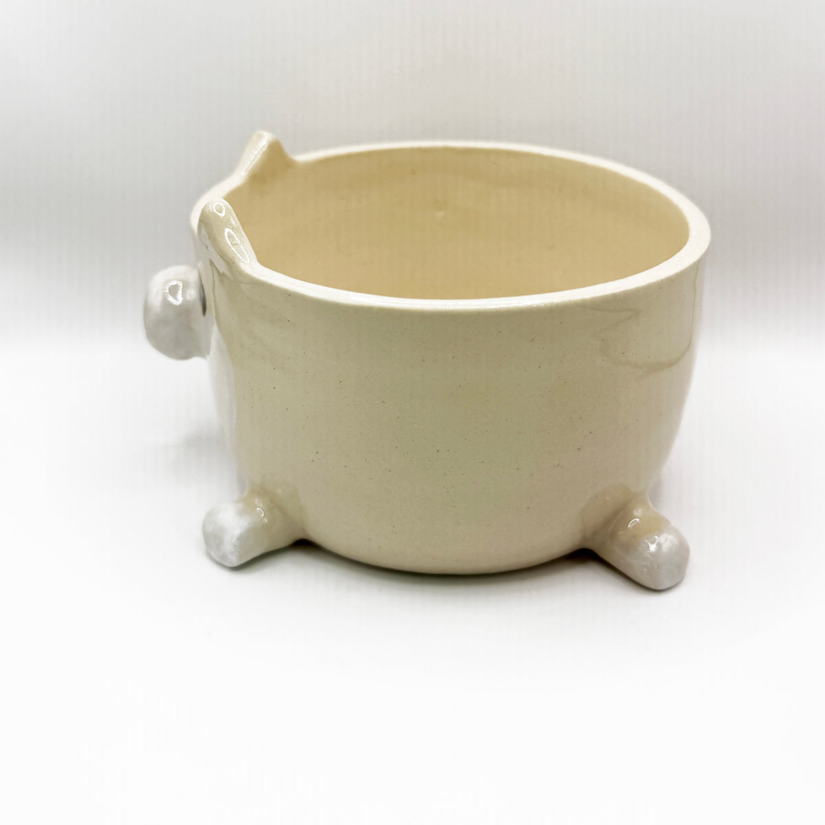 White Shiba Inu "Side-Eye" Bowl